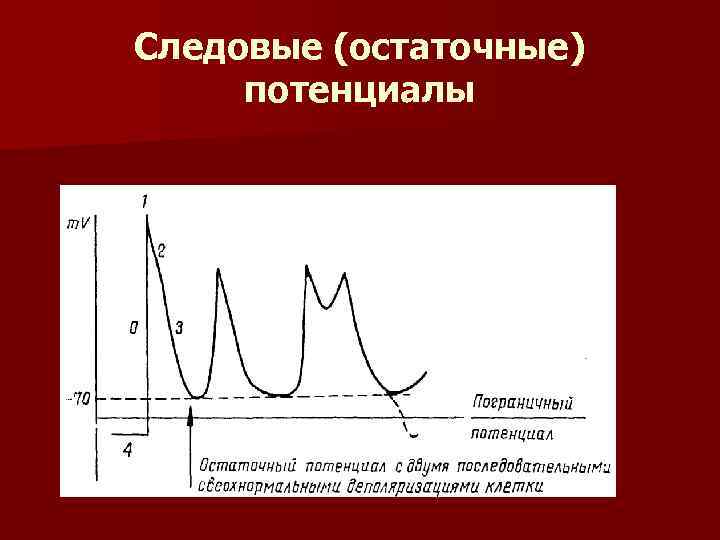 Следовые (остаточные) потенциалы 