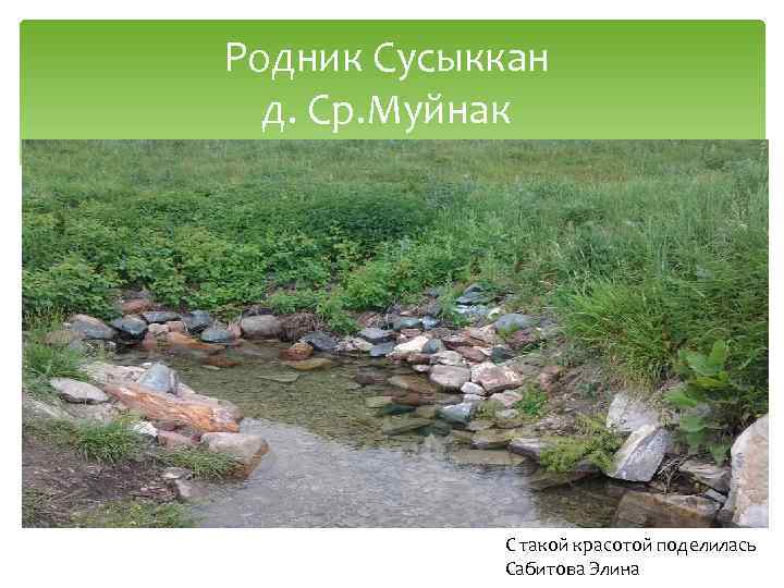 Родник Сусыккан д. Ср. Муйнак С такой красотой поделилась Сабитова Элина 