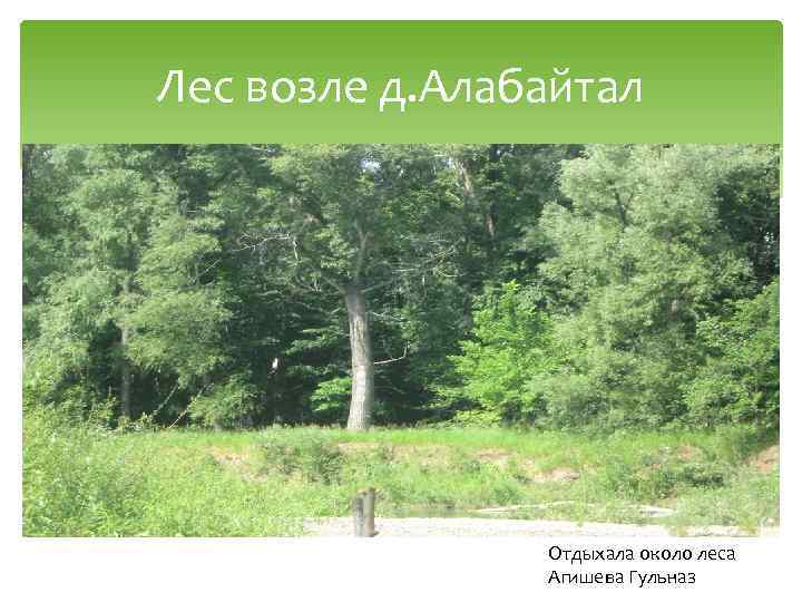 Лес возле д. Алабайтал Отдыхала около леса Агишева Гульназ 