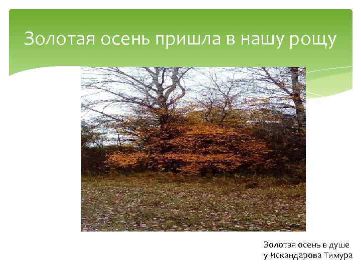 Золотая осень пришла в нашу рощу Золотая осень в душе у Искандарова Тимура 