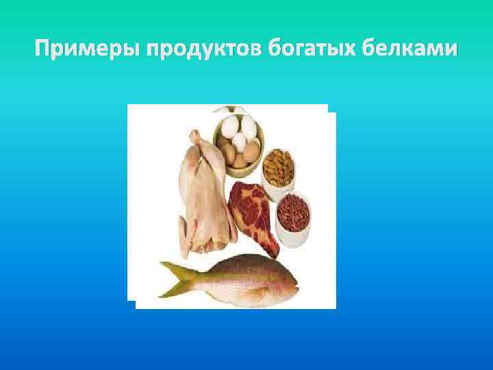 Примеры продуктов богатых белками 