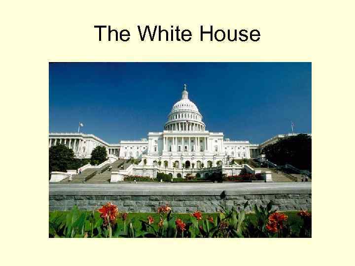 The White House 