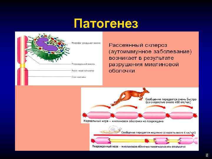 Патогенез 8 