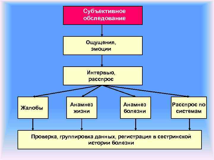 Субъективное обследование Ощущения, эмоции Интервью, расспрос Жалобы Анамнез жизни Анамнез болезни Расспрос по системам