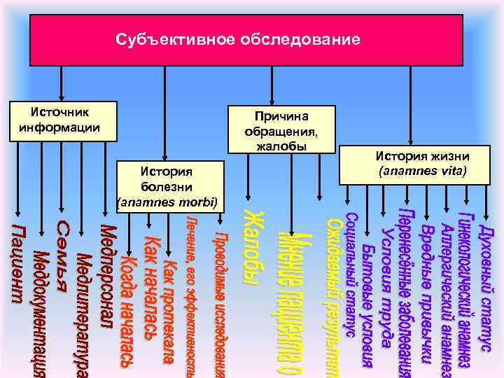 Субъективное обследование. Ментальная карта сестринский процесс. Источники субъективного обследования. Субъективное обследование пациента причина обращения. История жизни субъективное обследование.