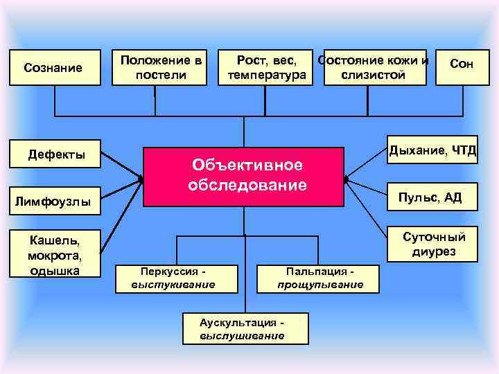 Сознание Дефекты Положение в постели Рост, вес, Состояние кожи и температура слизистой Объективное обследование