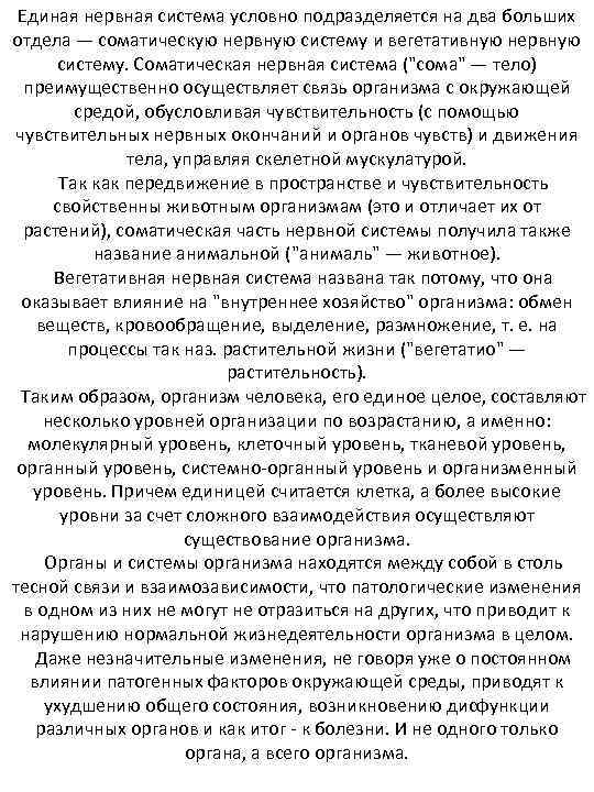 Единая нервная система условно подразделяется на два больших отдела — соматическую нервную систему и