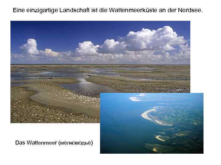 Eine einzigartige Landschaft ist die Wattenmeerküste an der Nordsee. Das Wattenmeer (мелководье) 