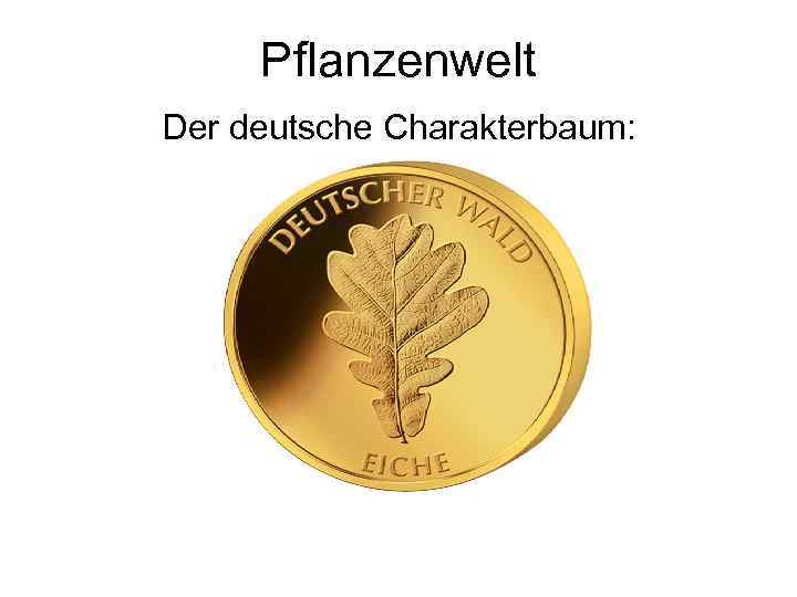 Pflanzenwelt Der deutsche Charakterbaum: 