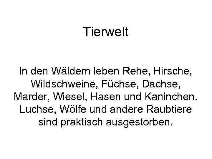 Tierwelt In den Wäldern leben Rehe, Hirsche, Wildschweine, Füchse, Dachse, Marder, Wiesel, Hasen und