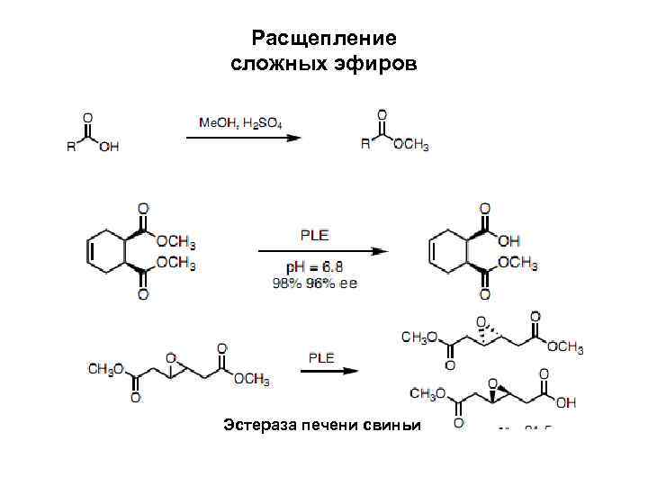 Расщепление сложных эфиров Эстераза печени свиньи 