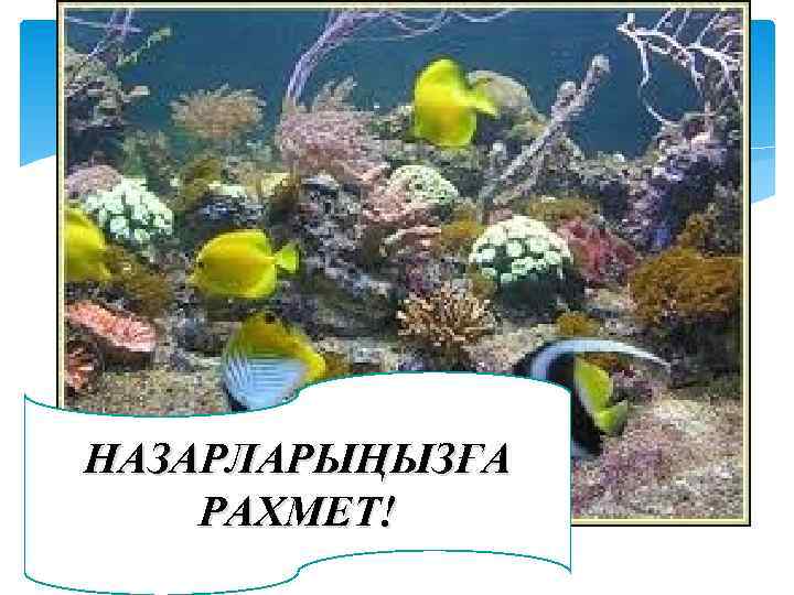 НАЗАРЛАРЫҢЫЗҒА РАХМЕТ! 