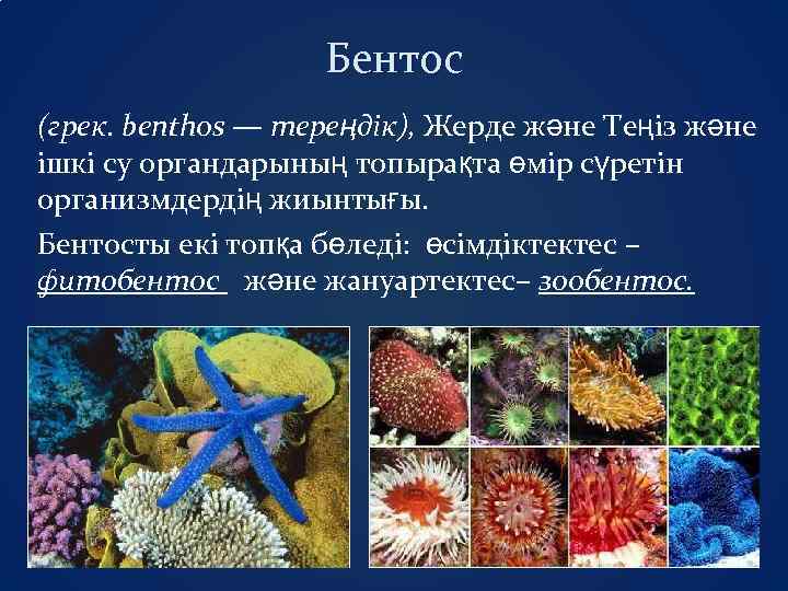 Бентос (грек. benthos — тереңдік), Жерде және Теңiз және iшкi су органдарының топырақта өмір