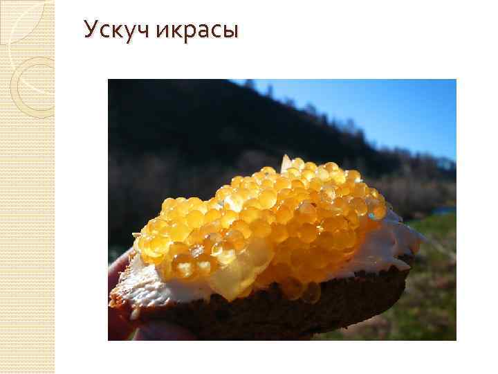 Ускуч икрасы 