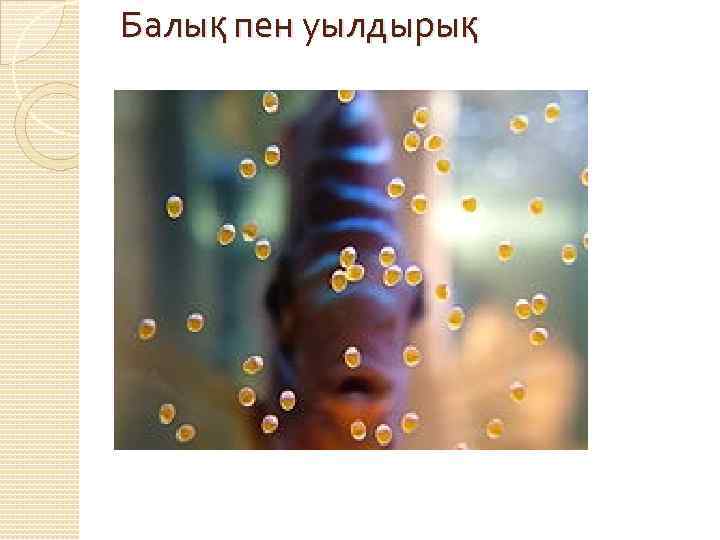 Балық пен уылдырық 