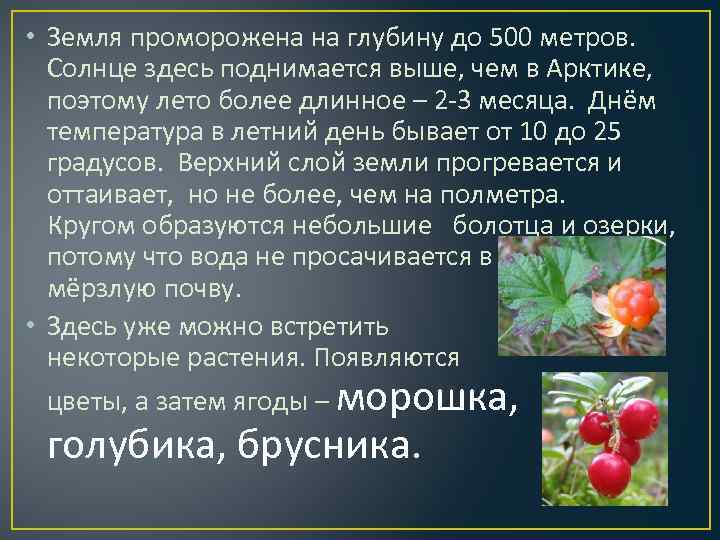  • Земля проморожена на глубину до 500 метров. Солнце здесь поднимается выше, чем