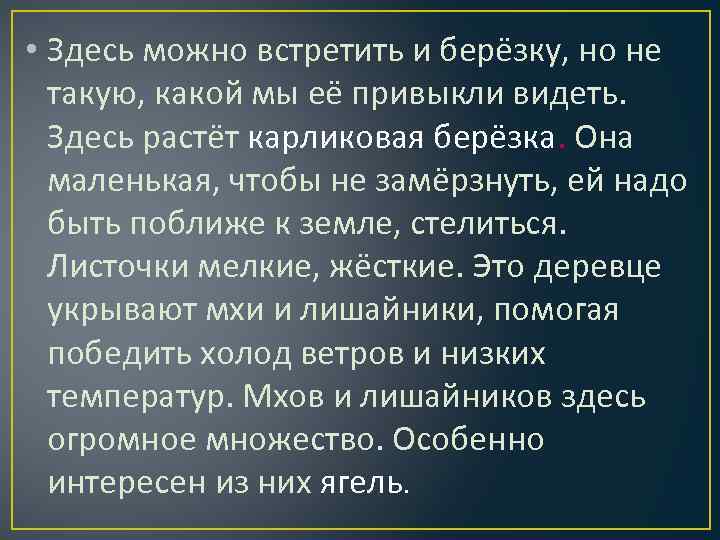  • Здесь можно встретить и берёзку, но не такую, какой мы её привыкли