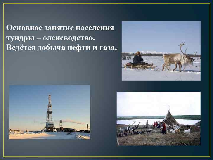 Основные занятия жителей