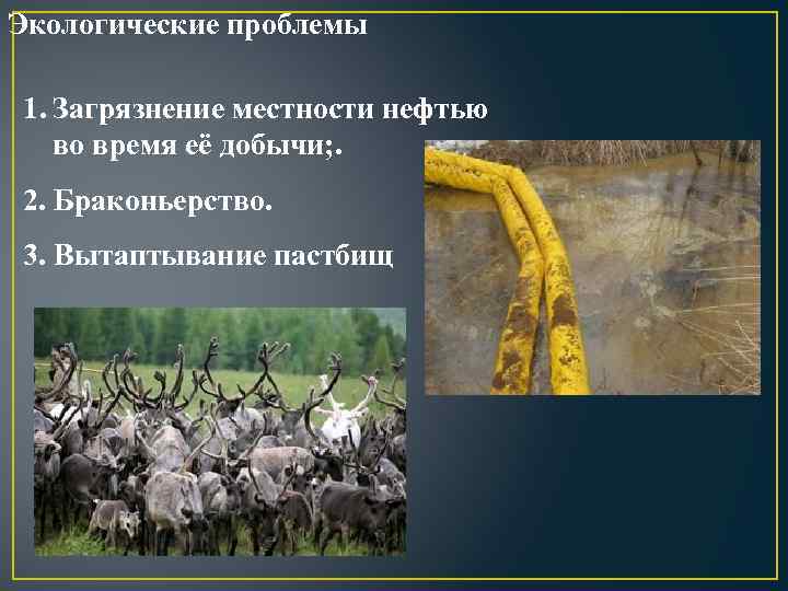 Экологические проблемы 1. Загрязнение местности нефтью во время её добычи; . 2. Браконьерство. 3.