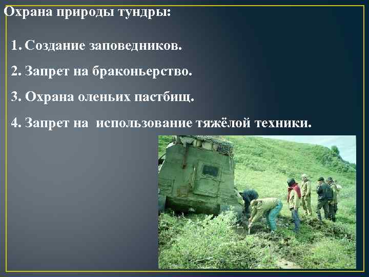 Охрана природы тундры: 1. Создание заповедников. 2. Запрет на браконьерство. 3. Охрана оленьих пастбищ.