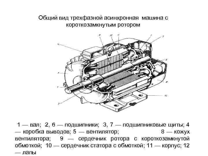 Т образная схема замещения асинхронной машины с короткозамкнутым ротором