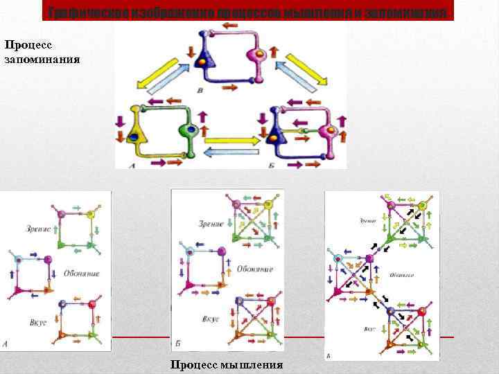 Графическое изображение процессов мышления и запоминания Процесс мышления 