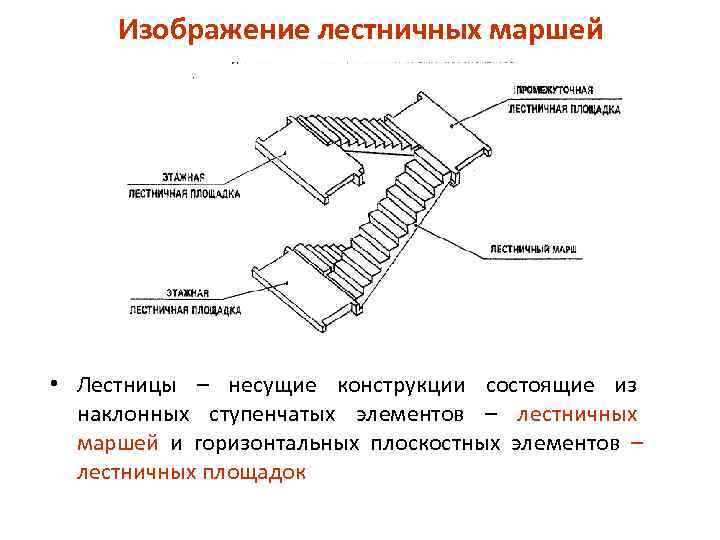 Изображение лестничных маршей • Лестницы – несущие конструкции состоящие из наклонных ступенчатых элементов –