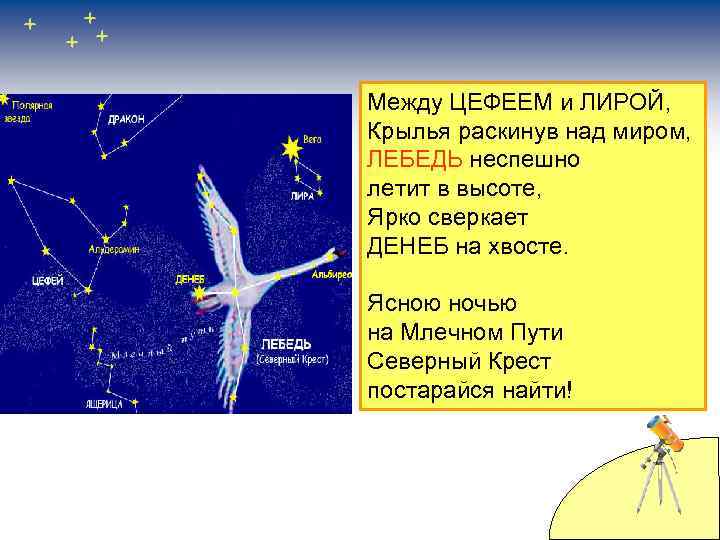 Между ЦЕФЕЕМ и ЛИРОЙ, Крылья раскинув над миром, ЛЕБЕДЬ неспешно летит в высоте, Ярко