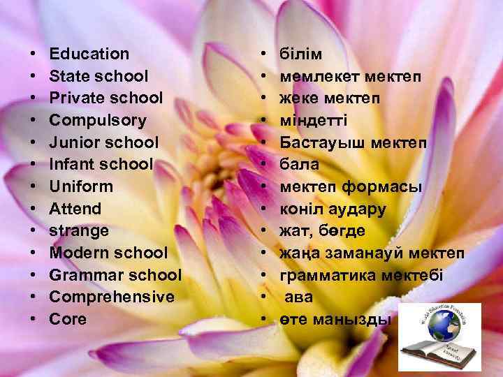  • • • • Education State school Private school Compulsory Junior school Infant