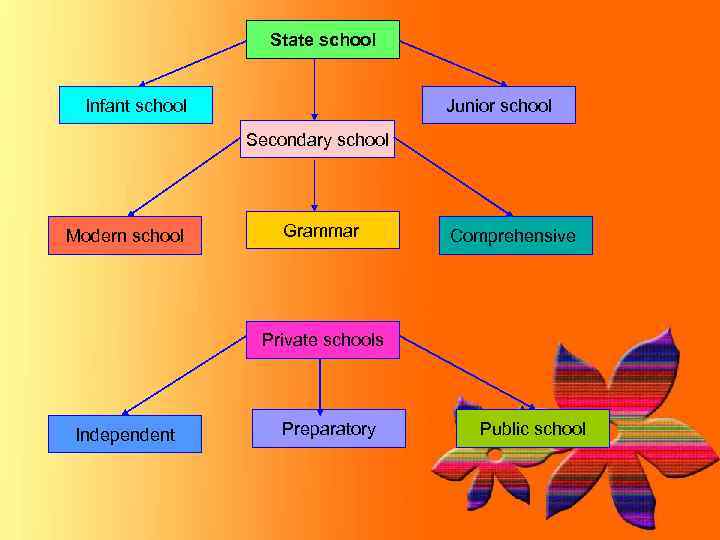 State school Infant school Junior school Secondary school Modern school Grammar Comprehensive Private schools