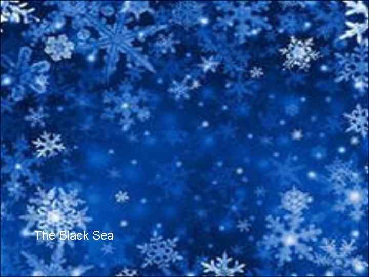 The Black Sea 