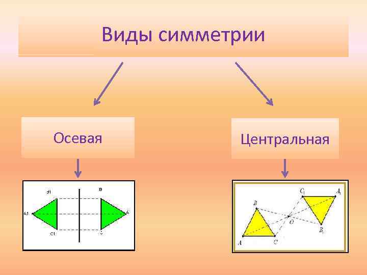 Виды симметрии Осевая Центральная 