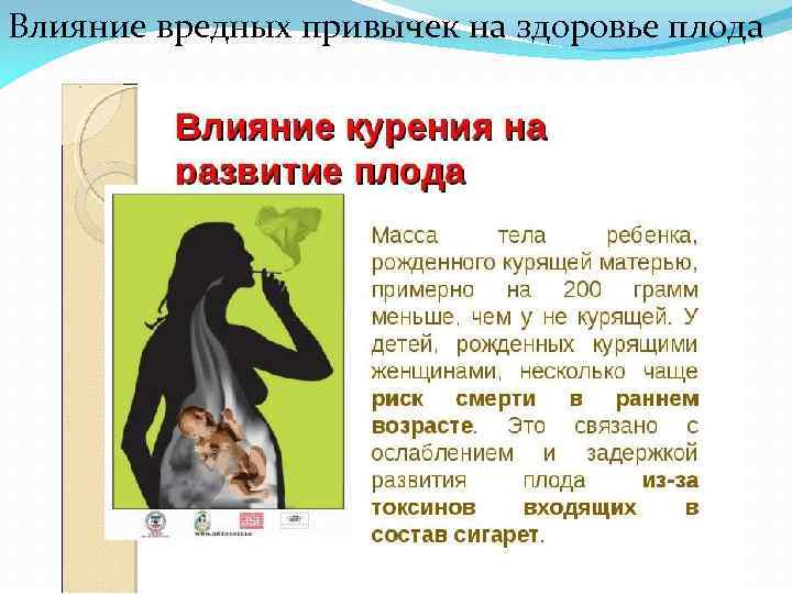 Влияние вредных привычек на здоровье плода 