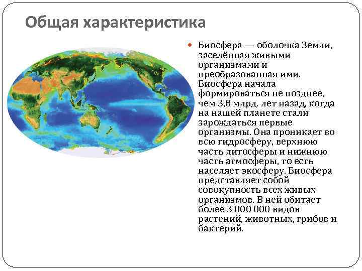 Оболочка земли заселенная живыми организмами называется