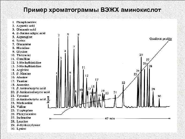 Нарисовать хроматограмму онлайн