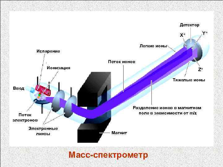 Детектор Y+ X+ Легкие ионы Испарение Поток ионов Ионизация Z+ Тяжелые ионы Ввод Разделение