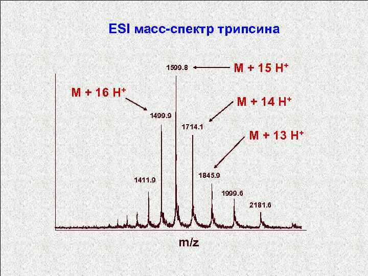 ESI масс-спектр трипсина M + 15 H+ 1599. 8 M + 16 H+ M