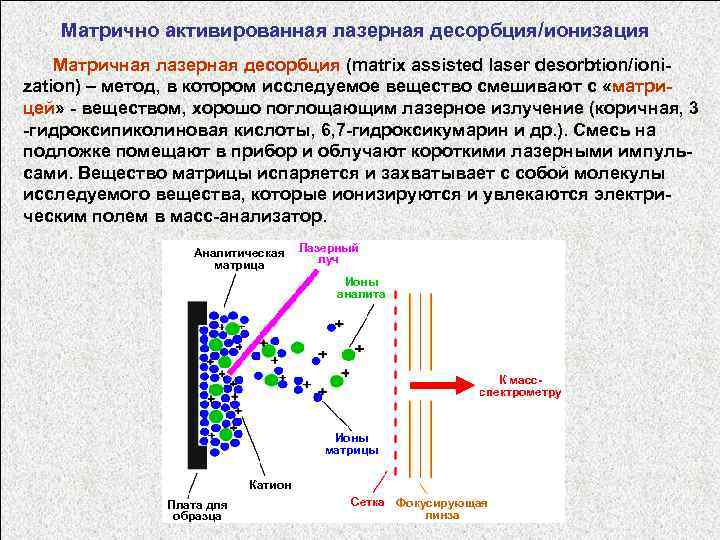 Матрично активированная лазерная десорбция/ионизация Матричная лазерная десорбция (matrix assisted laser desorbtion/ionization) – метод, в