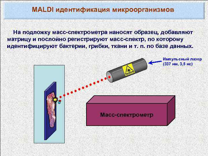 MALDI идентификация микроорганизмов На подложку масс-спектрометра наносят образец, добавляют матрицу и послойно регистрируют масс-спектр,