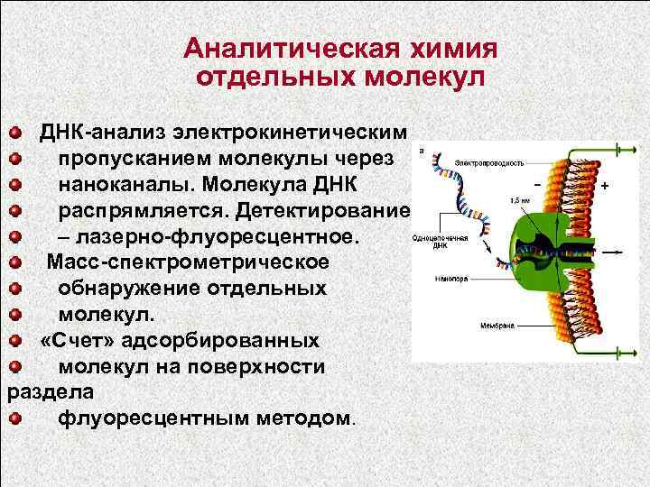 Аналитическая химия отдельных молекул ДНК-анализ электрокинетическим пропусканием молекулы через наноканалы. Молекула ДНК распрямляется. Детектирование