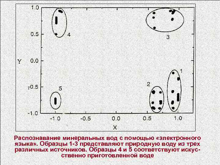 Образец для макроанализа