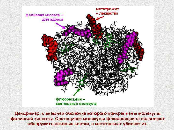 Дендример, к внешней оболочке которого прикреплены молекулы фолиевой кислоты. Светящиеся молекулы флюоресцеина позволяют обнаружить