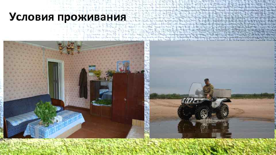 Условия проживания 