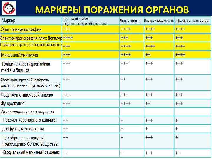  МАРКЕРЫ ПОРАЖЕНИЯ ОРГАНОВ 