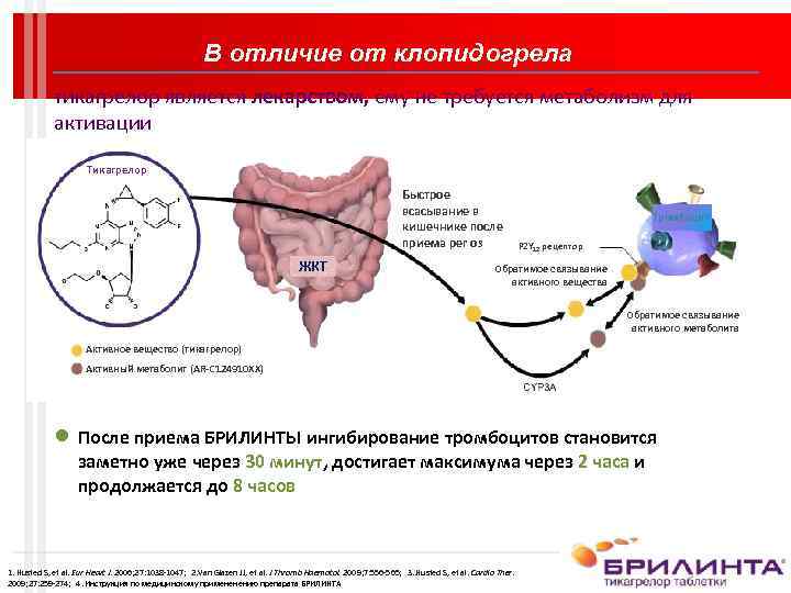 В отличие от клопидогрела тикагрелор является лекарством, ему не требуется метаболизм для активации Тикагрелор