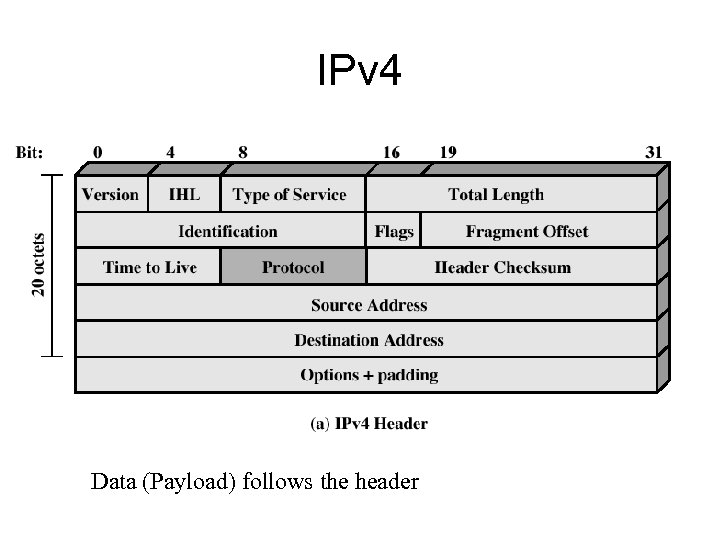 IPv 4 Data (Payload) follows the header 