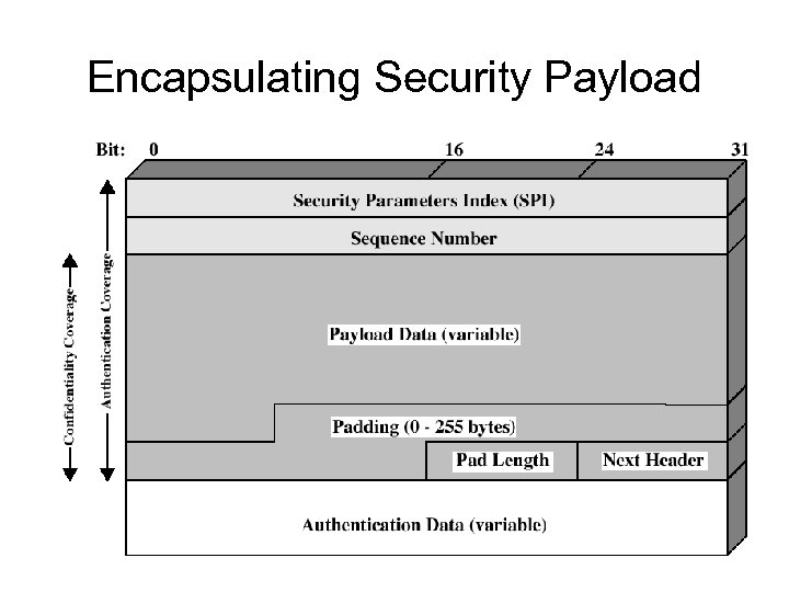 Encapsulating Security Payload 
