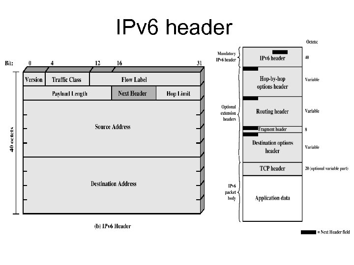 IPv 6 header 