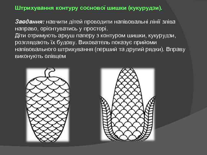 Штрихування контуру соснової шишки (кукурудзи). Завдання: навчити дітей проводити напівовальні лінії зліва направо, орієнтуватись