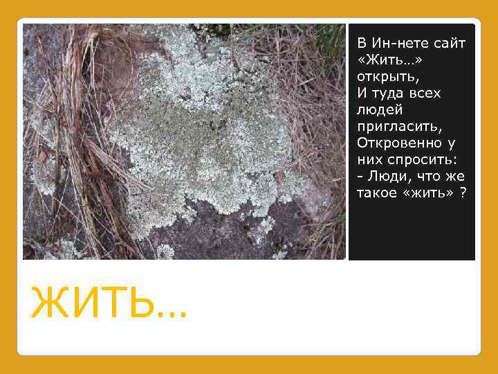 В Ин-нете сайт «Жить…» открыть, И туда всех людей пригласить, Откровенно у них спросить: